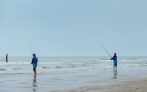 Strand Domburg vissen jongetjes