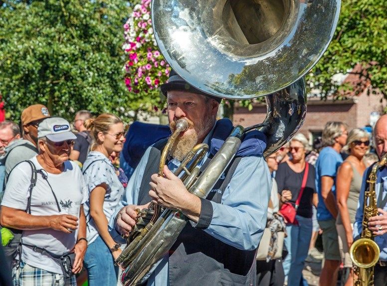 muzikant festival domburg