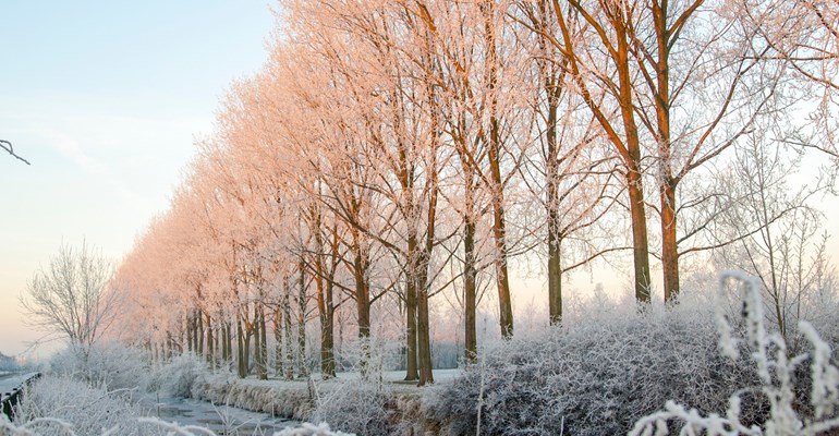 winter in Zeeland