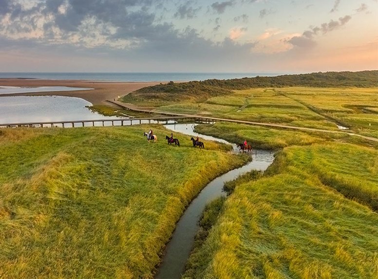 De Verdronken Zwarte polder is een prachtig natuurgebied die je moet zien tijdens  je herfstwandeling.
